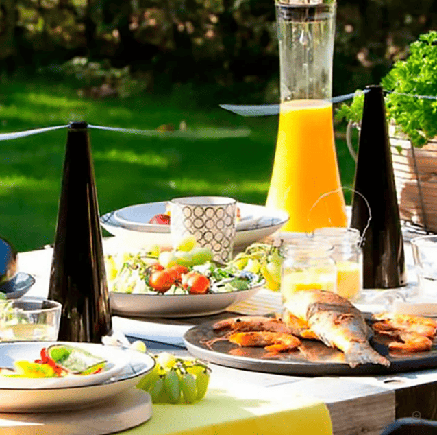 Ventilador repelente de mosquitos FlyAway®